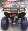 Cuatrimoto Atv Quads Vento RHINO 250 aut