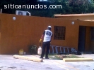 Eliminamos Roedores e Insectos