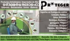 Expertos en Fumigaciones Maracaibo