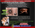 Fumigacion contra Pulgas