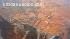 Fumigacion Eficaz para Consultorios
