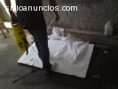 Fumigacion Trabajos Garantizados