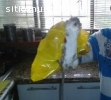 Fumigacion Usamos Los Mejore Insecticida