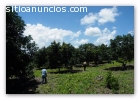 HERMOSA GRANJA ESPECIAL PARA CRÍA ANIMAL