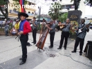 MUSICA LLANERA SERENATA LLANERA