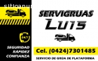 Servicio de Gruas