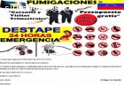 Servicios De Fumigacion Para Chiripas Cu