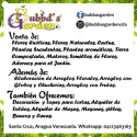 Venta de Flores Naturales y Arreglos Flo